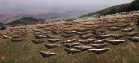 Serie di deltaplani pronti per un campionato mondiale