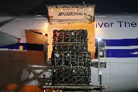 US National Airlines cargo plane transports armaments to Ukraine