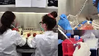 University of Zurich and Airbus grow miniature human tissue on the International Space Station