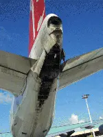 Aircraft tailstrike in an archive photo (Photo Web, airliners.net)