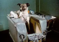 Preparation of launch of Sputnik 2 with dog Laika