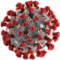 Sars-CoV-2019 virus