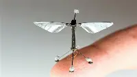 RoboBee insect drones