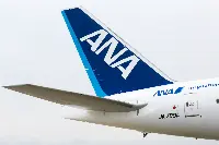 Ana airplane