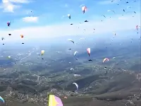 Parapendio in volo in occasione di un evento