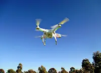 Drone flies