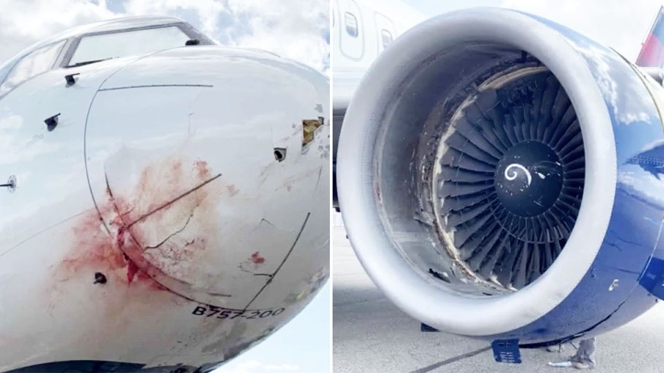 L'aereo B-757/200 del vettore Delta Air Lines danneggiato in seguito a bird-strike